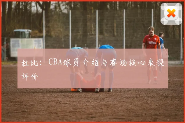杜比：CBA球员介绍与赛场核心表现评价